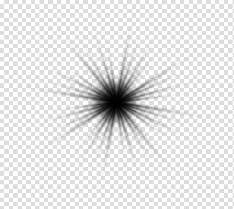 White Flower, Computer, Eye, Line, Sky, Dandelion, Blackandwhite, Closeup transparent background PNG clipart