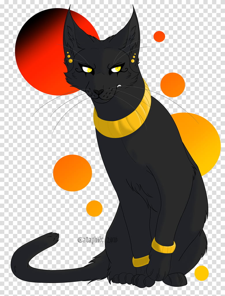 Cats, Black Cat, Adrien Agreste, Drawing, Whiskers, Character, Bastet, Small To Mediumsized Cats transparent background PNG clipart