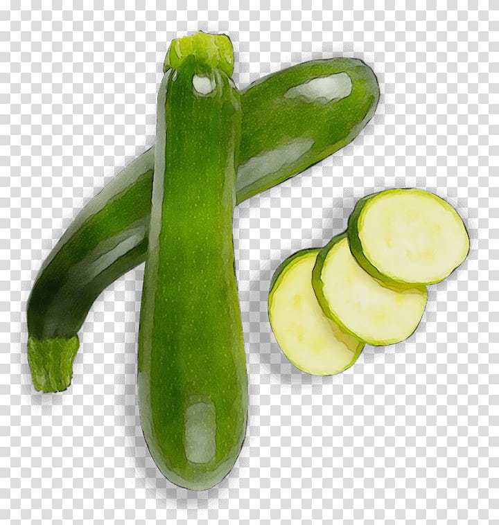 vegetable cucumber plant zucchini cucumis, Watercolor, Paint, Wet Ink, Food, Cucumber Gourd And Melon Family, Legume transparent background PNG clipart