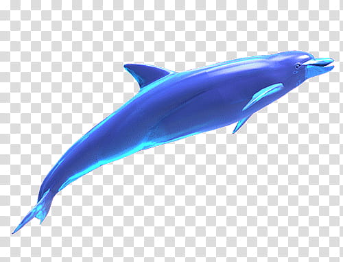 Aesthetic, blue dolphin transparent background PNG clipart