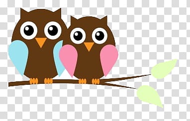 O Owls, two brown owls transparent background PNG clipart