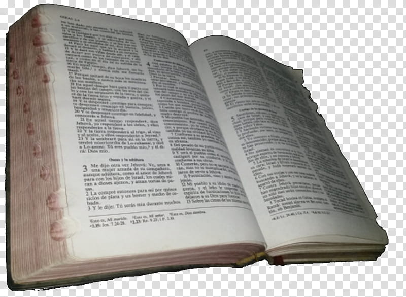 Jesus, Book, Book Of Revelation, Bible, Theology, Prophet, God, Viewer, Salvation transparent background PNG clipart