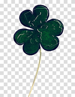 Shamrock, Green, Leaf, Clover, Symbol, Plant transparent background PNG clipart thumbnail
