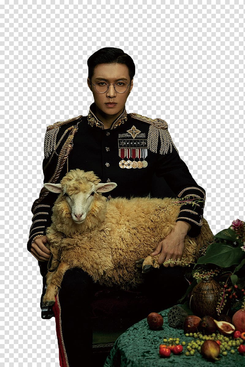Lay EXO S, sheep on man's lap transparent background PNG clipart