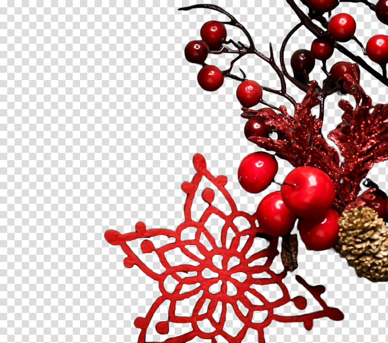 Christmas decoration, Chinese Hawthorn, Plant, Holly, Fruit, Pink Peppercorn, Tree, Berry transparent background PNG clipart