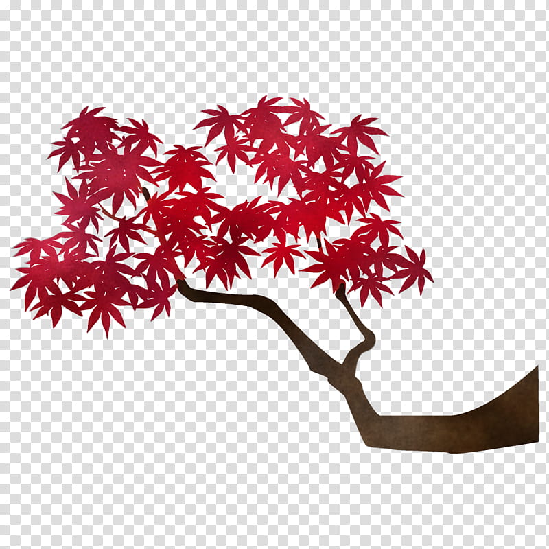 maple branch maple leaves autumn tree, Fall, Leaf, Red, Plant, Woody Plant, Twig, Flower transparent background PNG clipart