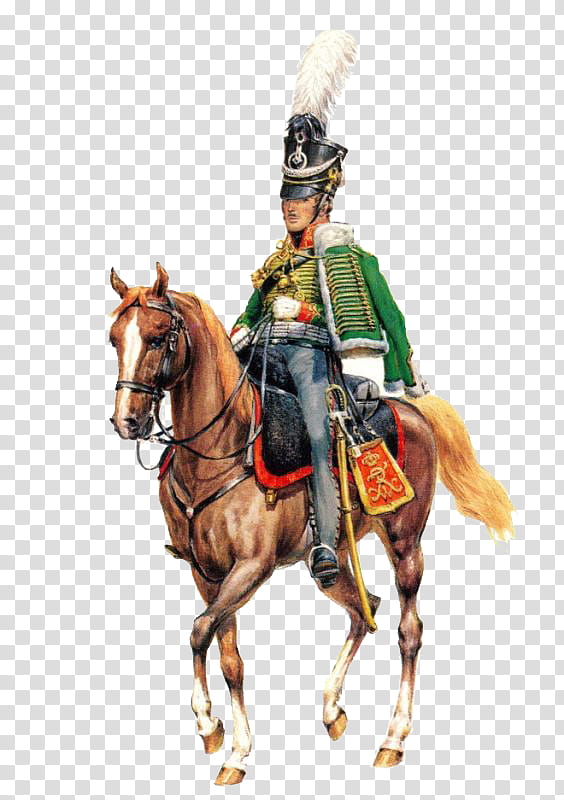 Horse, Regiment, Hussar, Kingdom Of Prussia, Soldier, Grenadier, Napoleonic Wars, Military transparent background PNG clipart