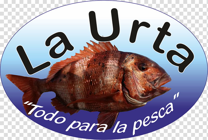 Fish, Fish Products, Bluegill, Label transparent background PNG clipart