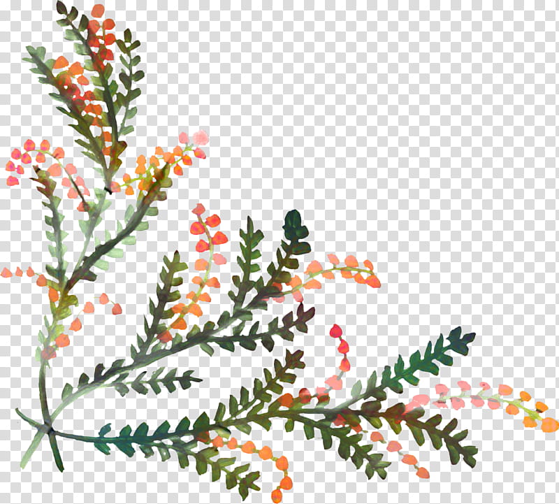 Watercolor Christmas Tree, Christmas Day, Spruce, Garland, Holly, Pine, Fraser Fir, Christmas Decoration transparent background PNG clipart