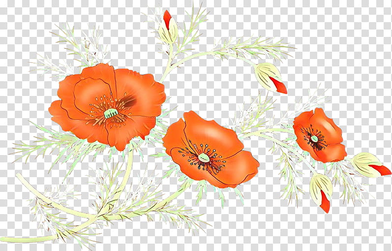 Drawing Of Family, Cartoon, Poppy, Flower, Floral Design, Silhouette, Orange, Oriental Poppy transparent background PNG clipart