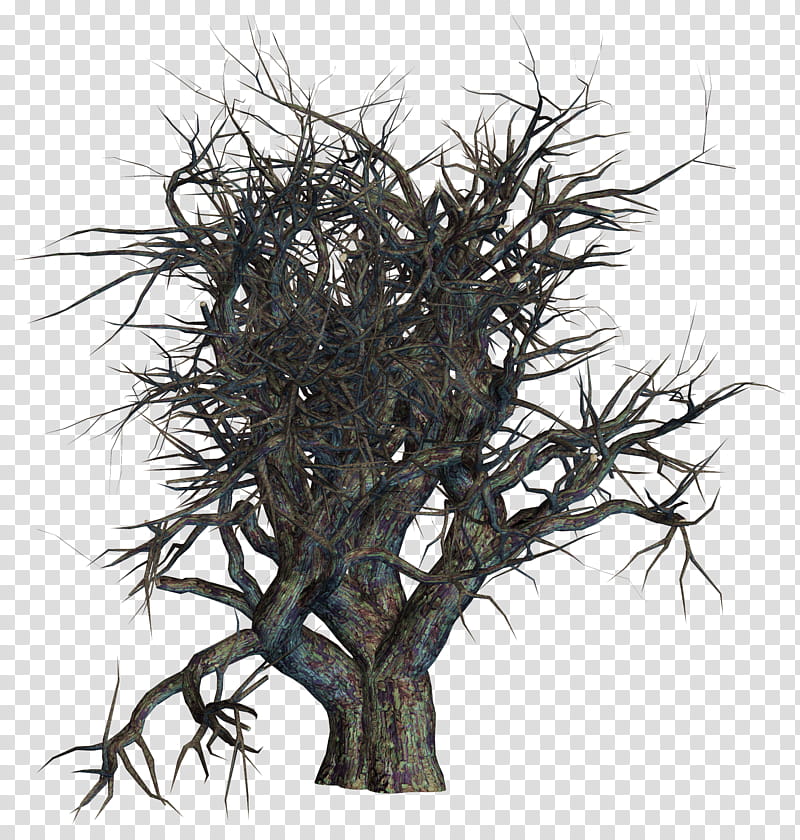 Dead Trees , bare tree illustration transparent background PNG clipart