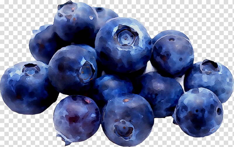 Fruit Tree, Blueberry, Huckleberry, Bagel, Bilberry, Berries, United Kingdom, Superfood transparent background PNG clipart