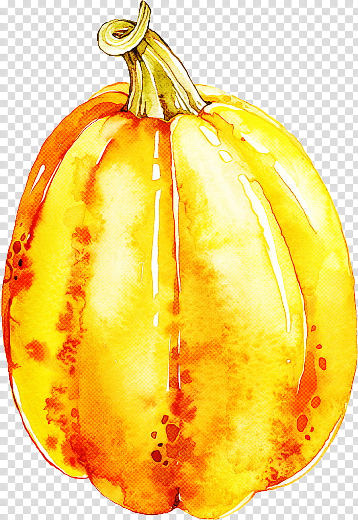 Orange, Yellow, Calabaza, Winter Squash, Vegetable, Acorn Squash, Fruit, Plant transparent background PNG clipart