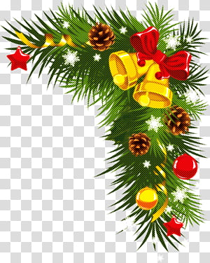 Christmas ornaments Christmas decoration Christmas, Christmas 
, Oregon Pine, Tree, Colorado Spruce, Plant, Branch, Fir transparent background PNG clipart thumbnail