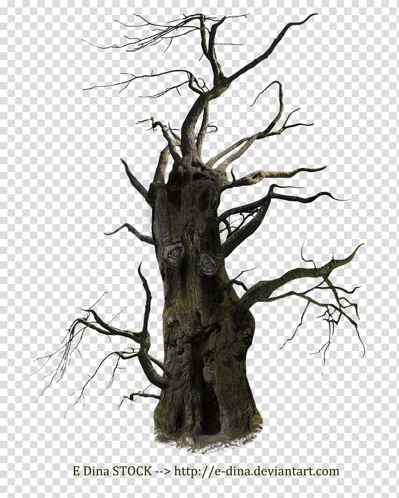 HQ Spooky Tree Mann, brown tree transparent background PNG clipart