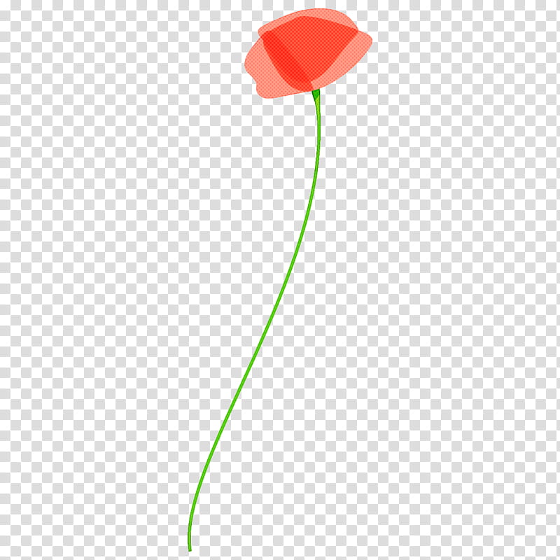 poppy flower, Green, Leaf, Plant, Tulip, Balloon, Plant Stem, Coquelicot transparent background PNG clipart