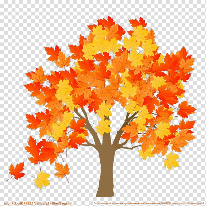 Orange, Cartoon, Tree, Leaf, Woody Plant, Yellow, Maple, Autumn transparent background PNG clipart