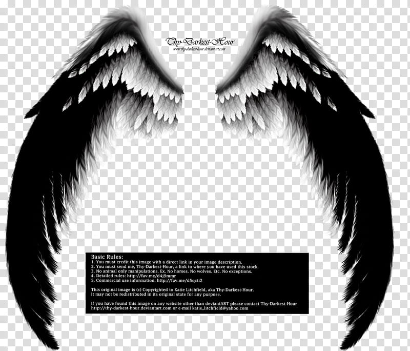 Arch Angel Wings Rough Transition, white and black wings illustration transparent background PNG clipart