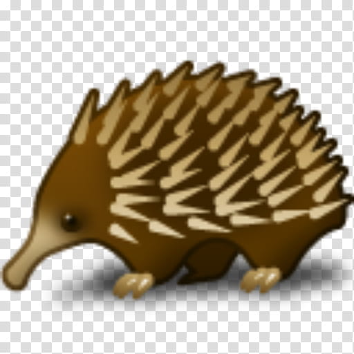 Domesticated Hedgehog Monotreme, Echidna, Porcupine, Beak, Wildlife, Snout, Domestication, Erinaceidae transparent background PNG clipart