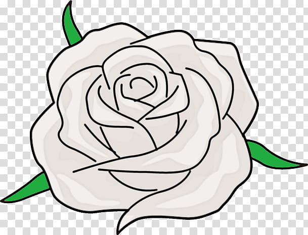 one flower one rose valentines day, Love, White, Line Art, Plant, Garden Roses, Rose Family, Pink transparent background PNG clipart