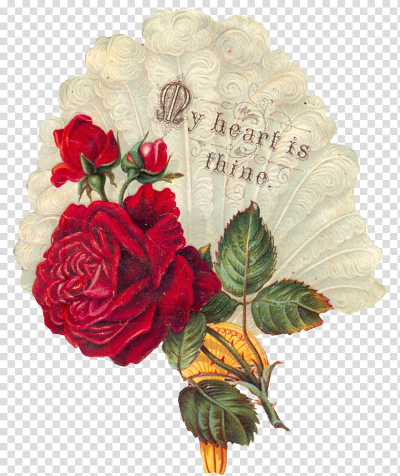 Vintage valentines clips, red rose flowers art transparent background PNG clipart