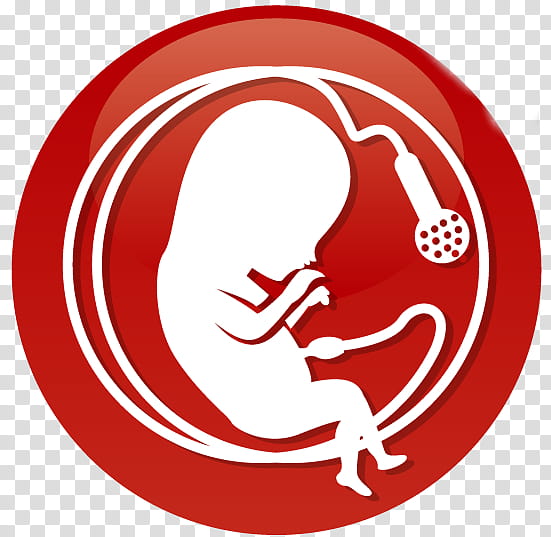 Violin, Fetus, Analogy, Antiabortion Movements, Fetal Position, Phenomenon, Drawing, Judith Jarvis Thomson transparent background PNG clipart