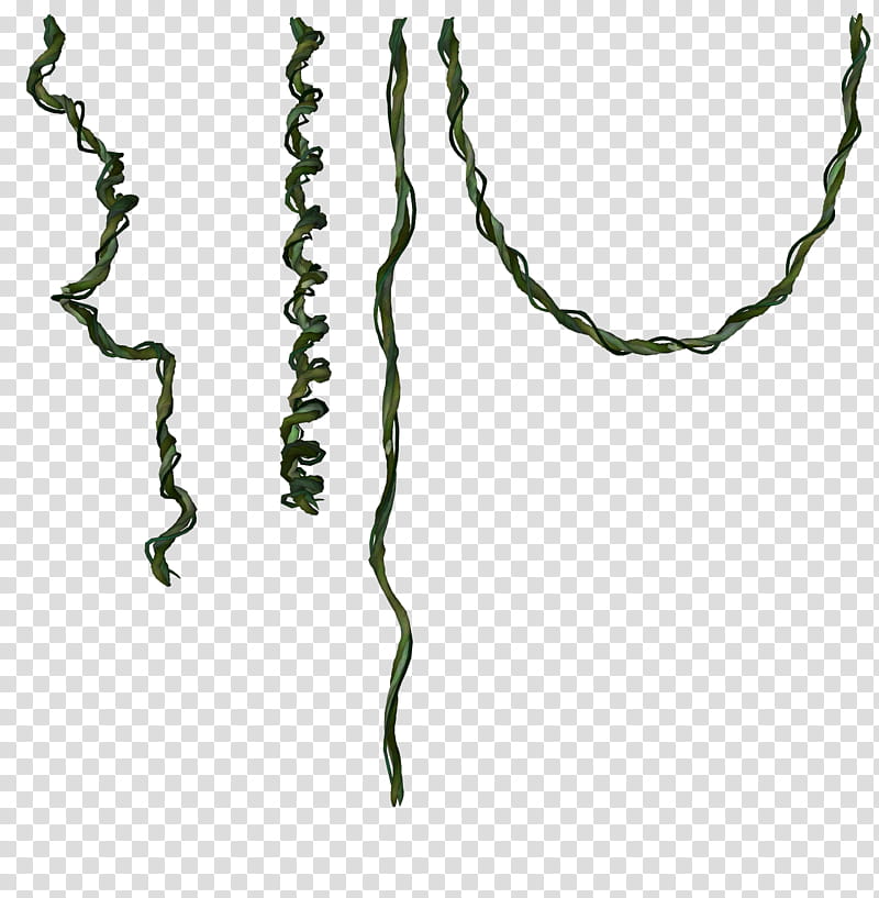 green vines png