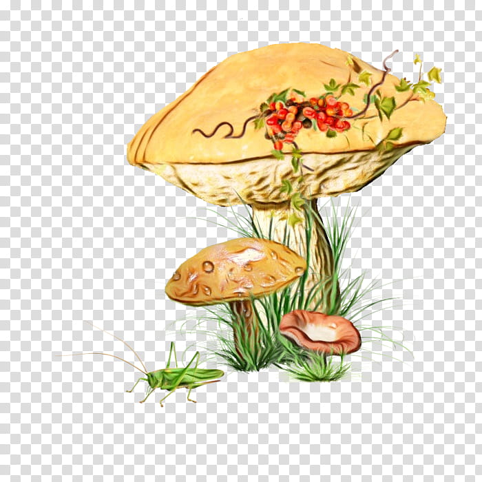 Watercolor Plant, Paint, Wet Ink, Common Mushroom, Edible Mushroom, Fungus, Agaricus Campestris, Watercolor Painting transparent background PNG clipart