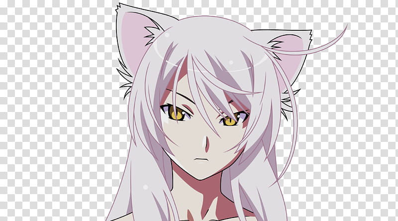 anime character with a white fox ears a white fox t  OpenArt