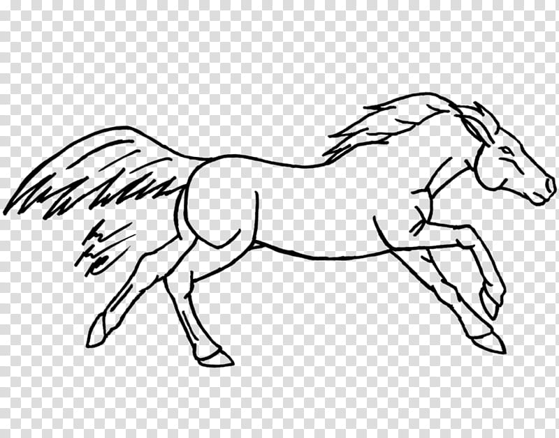 Running Horse Lines, FREE, illustration of horse transparent background PNG clipart