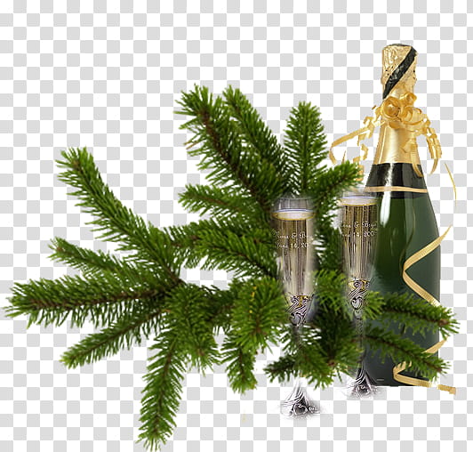 Christmas And New Year, Web Hosting Service, Email, Blog, File Hosting Service, Christmas Day, 2019, Internet Hosting Service transparent background PNG clipart