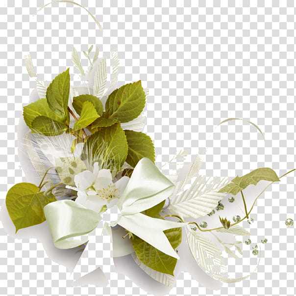 Flowers, Albums, Video, Text, White, Cut Flowers, Plant, Petal transparent background PNG clipart