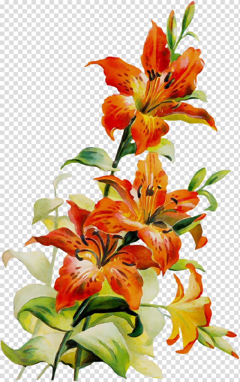 Bouquet Of Flowers Drawing, BORDERS AND FRAMES, Flower Bouquet, Tiger Lily, Floral Design, Cut Flowers, Plant, Gladiolus transparent background PNG clipart