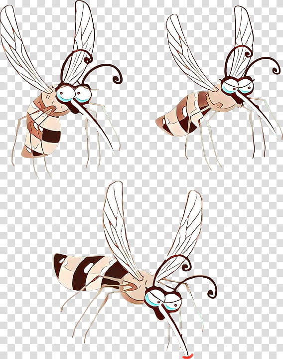 Flower Line, Insect, Pollinator, Pest, Membrane, Wing, Membranewinged Insect, Fly transparent background PNG clipart