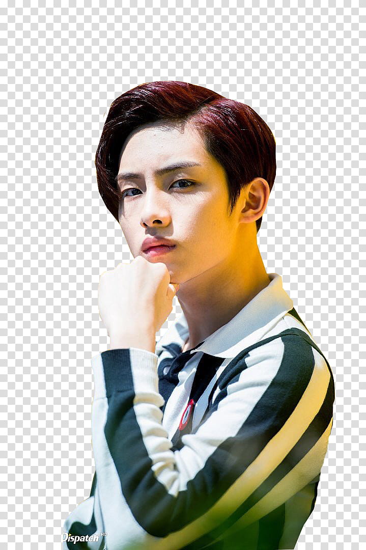 Winwin naver dispatch transparent background PNG clipart