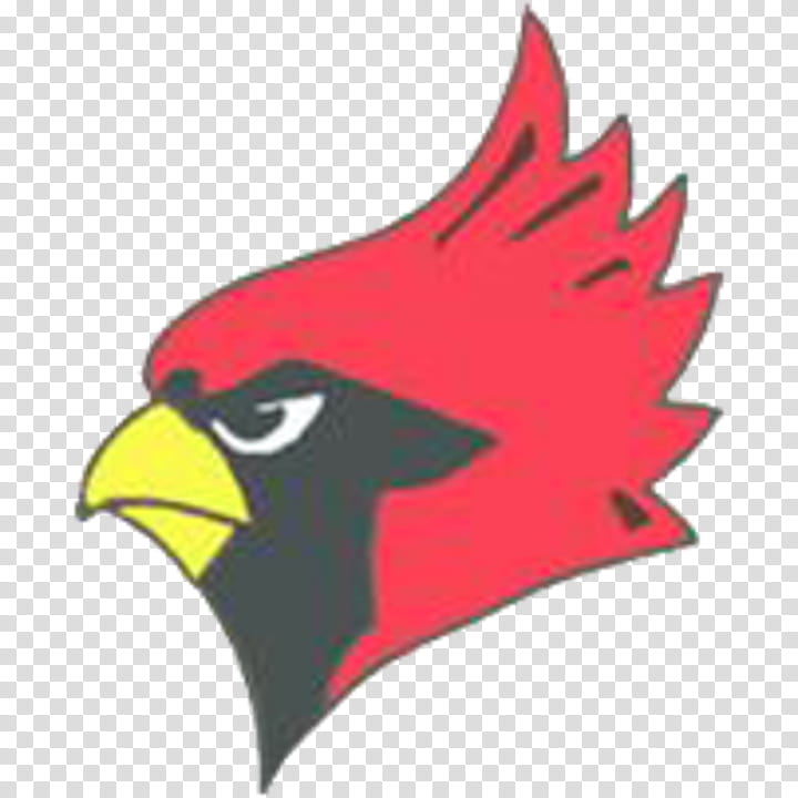 Cardinal Bird, School
, Maroa, Latham, School District, Maroaforsyth High School, Raytown South High School, Warrensburg transparent background PNG clipart