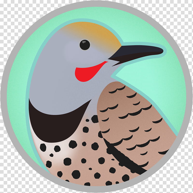 Bird, Woodpecker, Northern Flicker, Beak, Water Bird, License, Color, Flickers transparent background PNG clipart