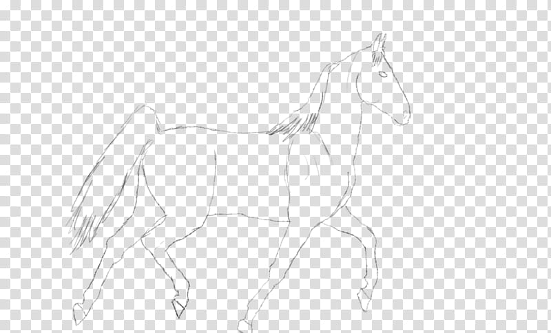 Free Trot Sketch transparent background PNG clipart