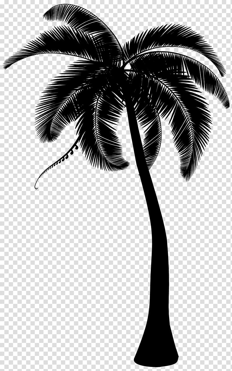 Coconut Tree Drawing, Palm Trees, Hyophorbe Lagenicaulis, Silhouette, Tree Stump, Line Art, White, Blackandwhite transparent background PNG clipart