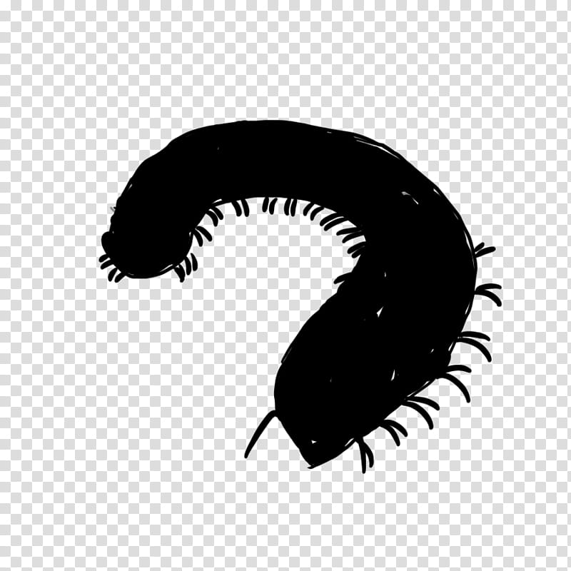 Eye, Insect, Eyelash, Black M, Centipede transparent background PNG clipart