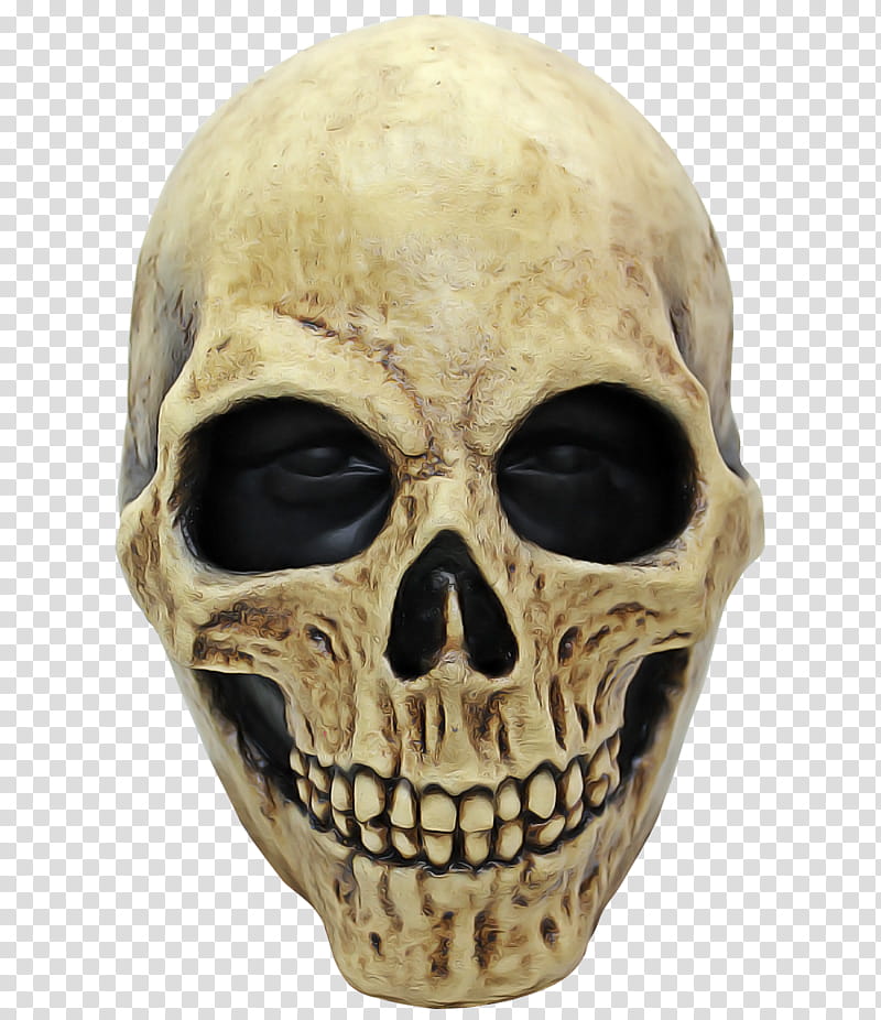skull bone face head skeleton, Forehead, Jaw, Anthropology, Mask transparent background PNG clipart