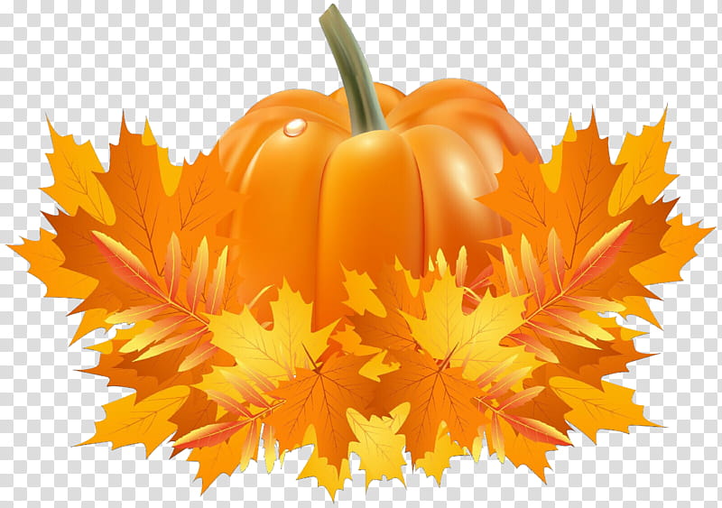 Autumn Leaf, Field Pumpkin, Crookneck Pumpkin, Pumpkin Pie, Cucurbita Argyrosperma, Calabaza, Crookneck Squash, Vegetable transparent background PNG clipart