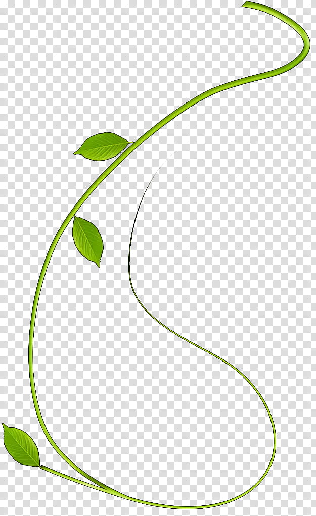 Green Grass, Leaf, Calameae, Rattan, Painting, Wicker, Black, Line transparent background PNG clipart