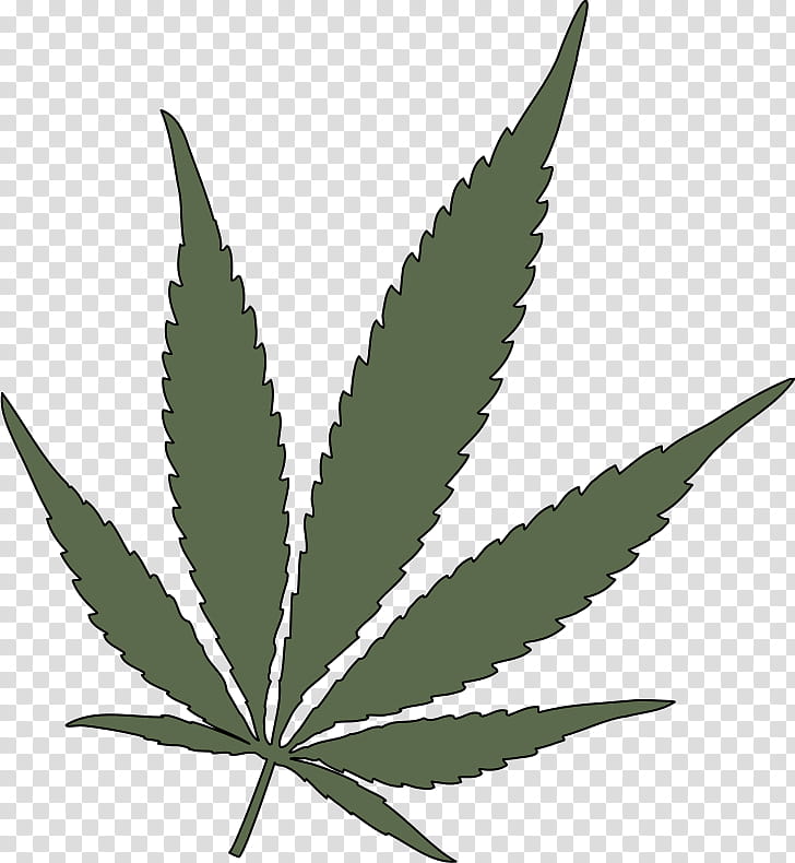 Cannabis Leaf, Cannabis Sativa, 420 Day, Medical Cannabis, Cannabis Ruderalis, Blunt, Hemp, Cannabis Smoking transparent background PNG clipart