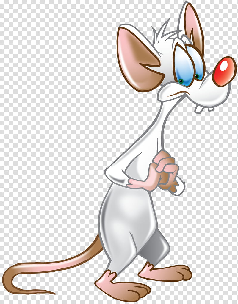 Mouse, Whiskers, Cat, Rat, Cartoon, Computer Mouse, Character, Animal transparent background PNG clipart