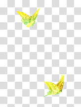 , two green butterfly transparent background PNG clipart