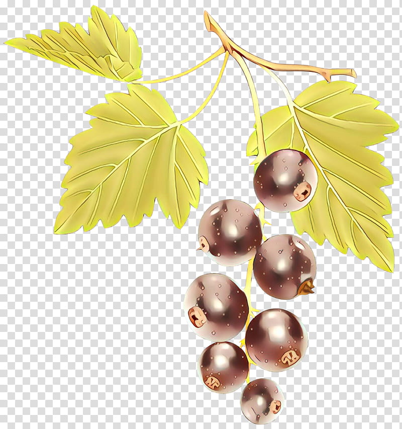 Plane, Grape Leaves, Leaf, Grapevine Family, Plant, Yellow, Tree, Vitis transparent background PNG clipart