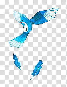 , blue and white bird illustration transparent background PNG clipart