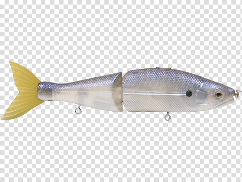 Fishing, Spoon Lure, Milkfish, Herring, Oily Fish, Fin, Fishing Bait, Fishing Lure transparent background PNG clipart