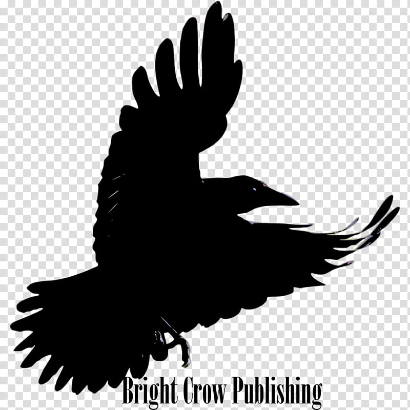 Drawing Of Family, American Crow, Bird, Hooded Crow, Common Raven, Flight, Carrion Crow, Crow Family transparent background PNG clipart